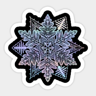 Winter Solstice Sticker